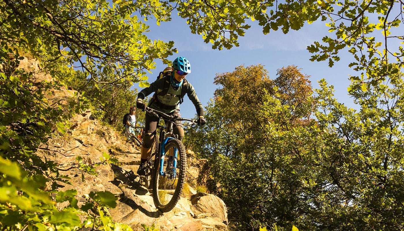 8er Trail am Sonnenberg